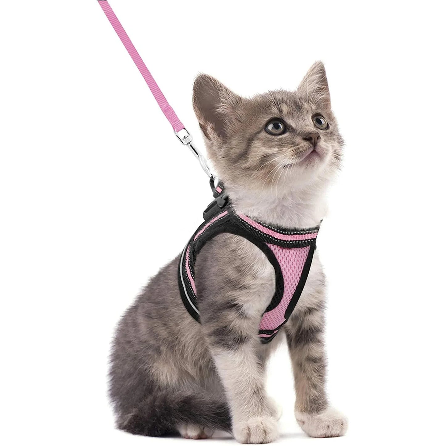 Tongyue Reflective Cat Leash Anti-Break Adjustable Strap