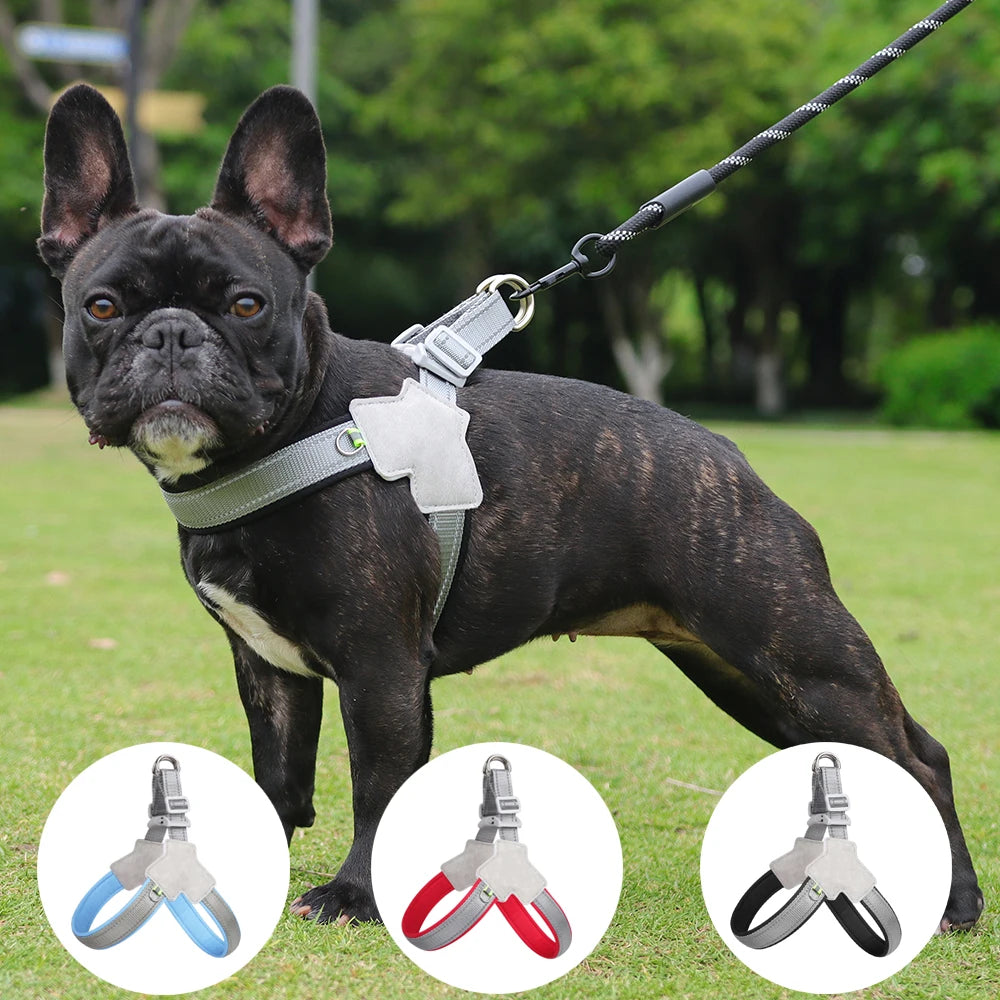 YTYINCN No Pull Reflective Dog Harness For Small Dogs