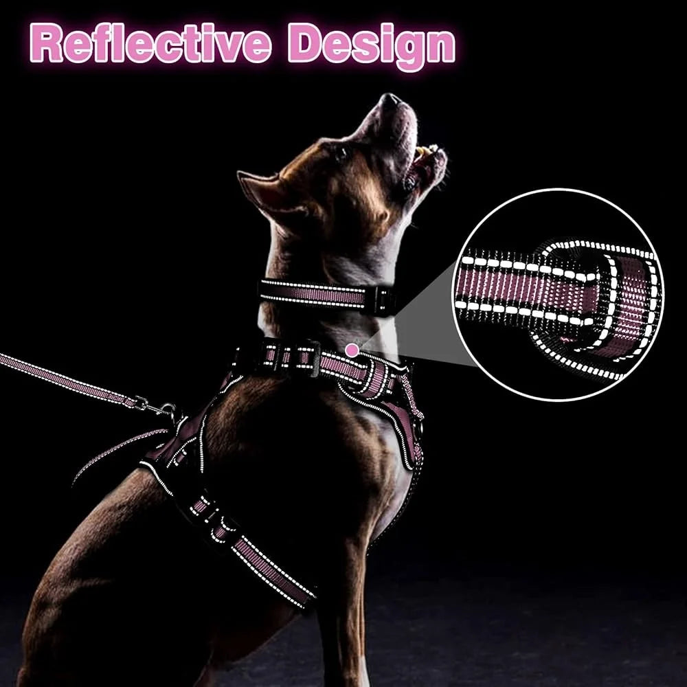 Fujian Reflective No Pull Dog Harness Leash Set For Walking