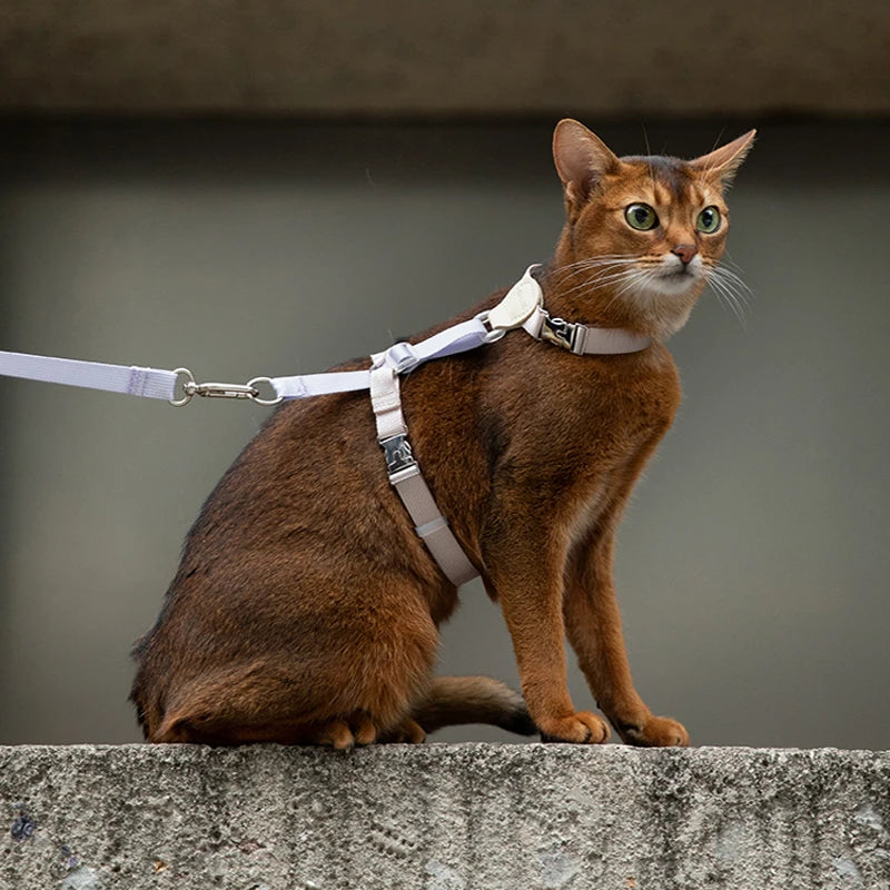 Choice Cat Harness Leash Adjustable I Shaped Walking Chest Strap