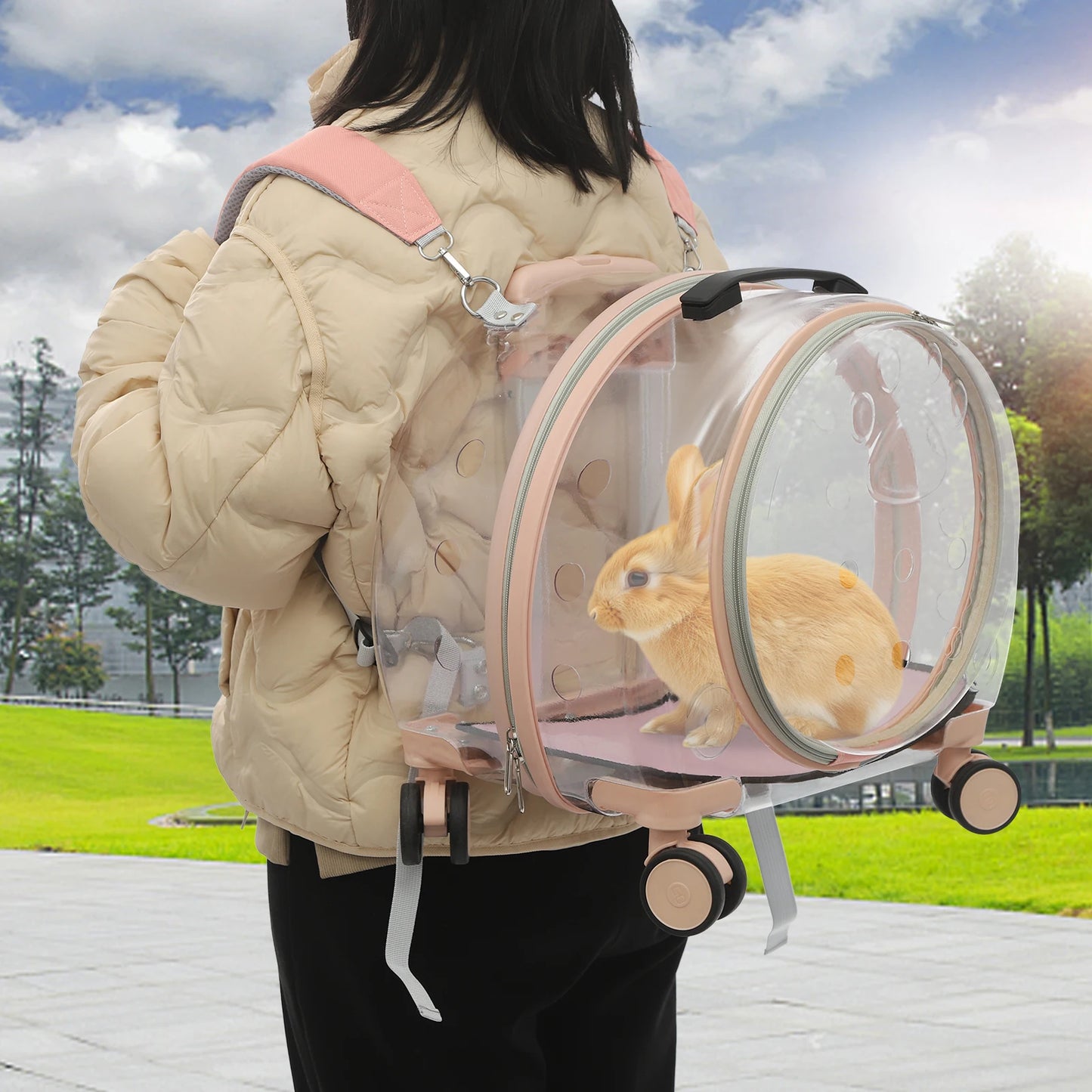 Breed Breathable Waterproof Cat Carrier With Rolling Wheels