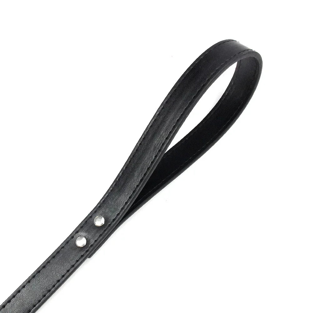 YTYINCN Leather Dog Leash For Small Medium Dogs And Cats