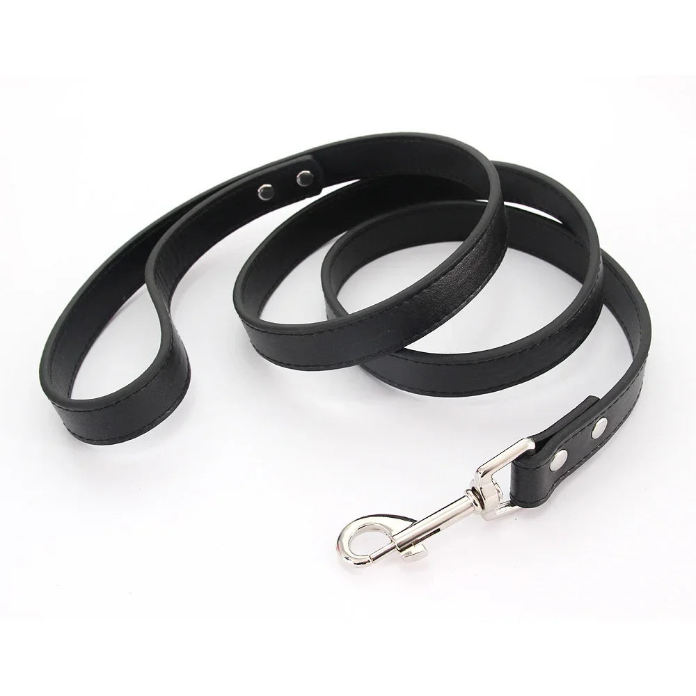 YTYINCN Leather Dog Leash For Small Medium Dogs And Cats