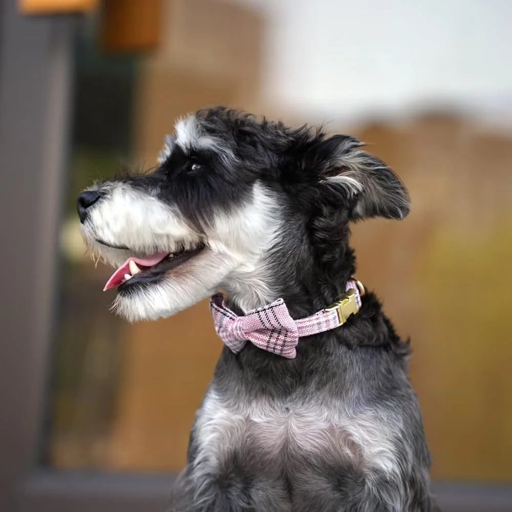 CN Fujian Cute Small Dog Harness Leash Set Adjustable Plaid