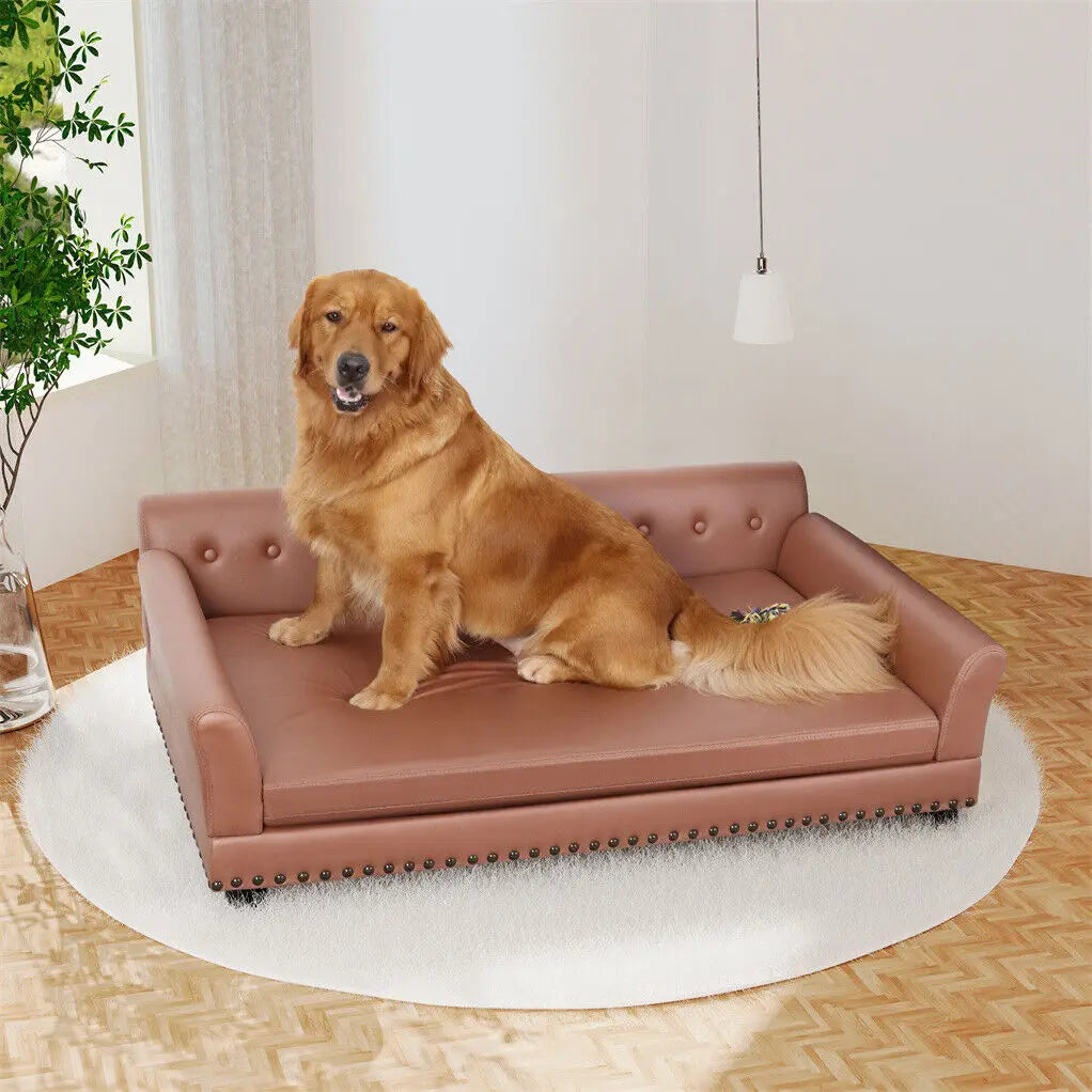 BINGOPAWCN Luxury Raised Dog Sofa Bed With Removable Cushion Cover