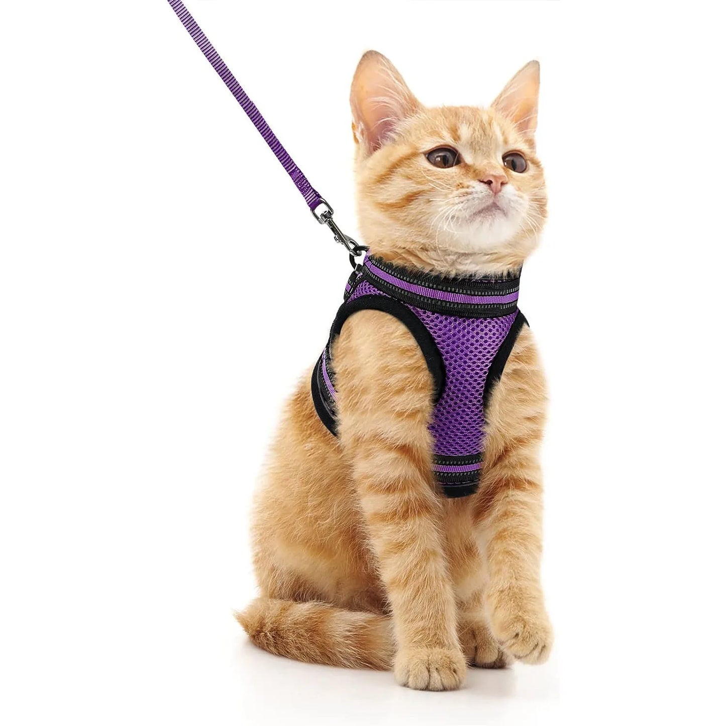 Tongyue Reflective Cat Leash Anti-Break Adjustable Strap
