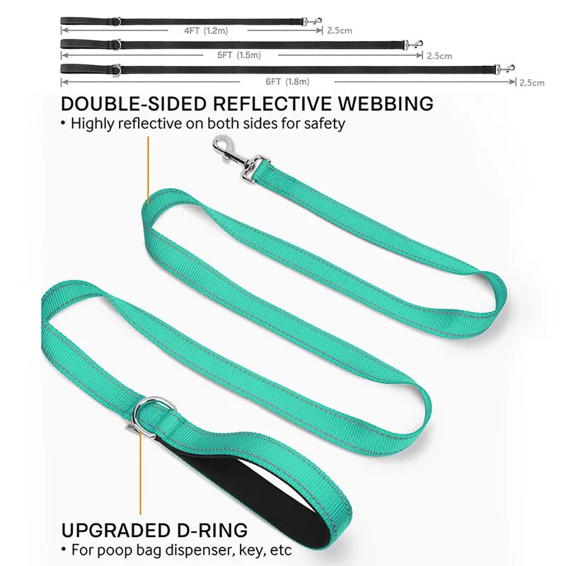 YTYINC Reflective Nylon Dog Leash For Walking And Training