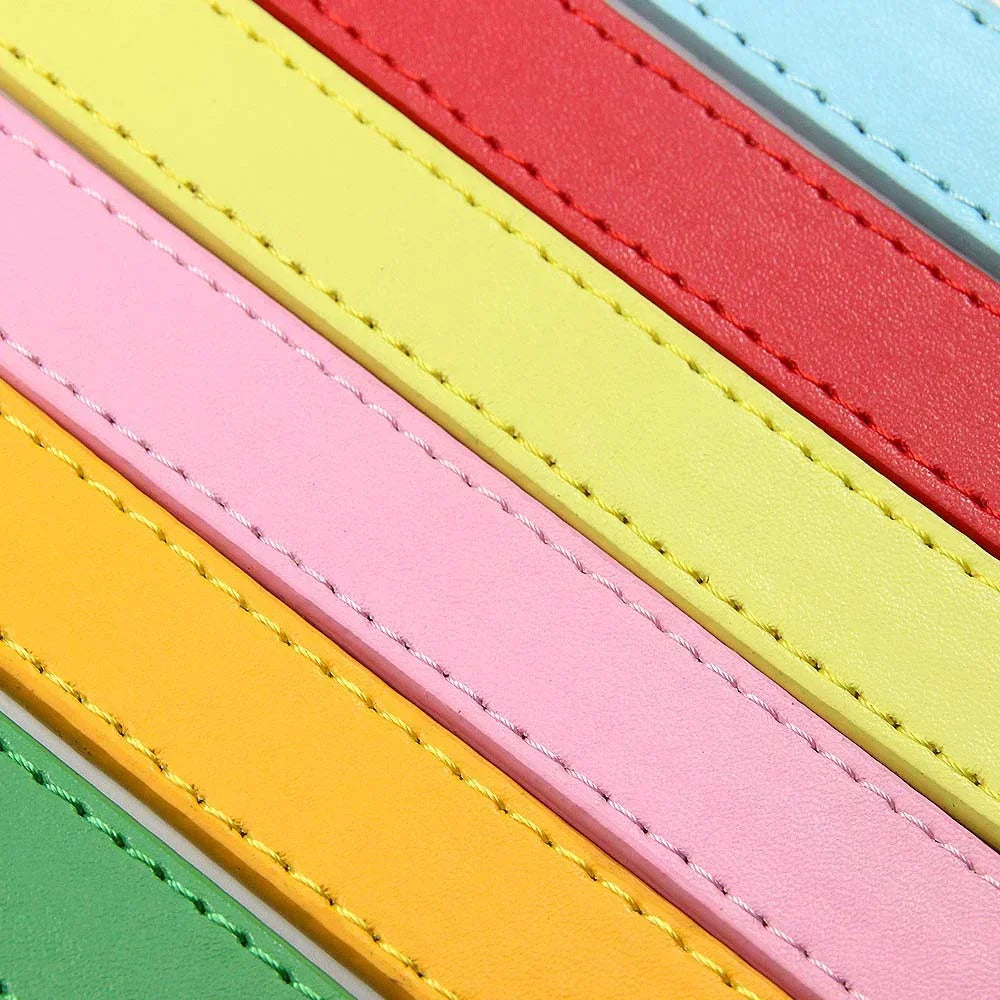 YTYINCN Leather Dog Leash For Small Medium Dogs And Cats