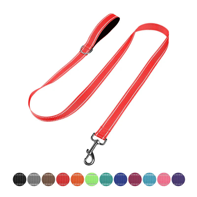 YTYINC Reflective Nylon Dog Leash For Walking And Training