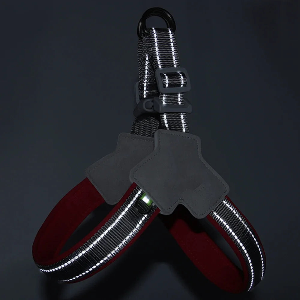 YTYINCN No Pull Reflective Dog Harness For Small Dogs