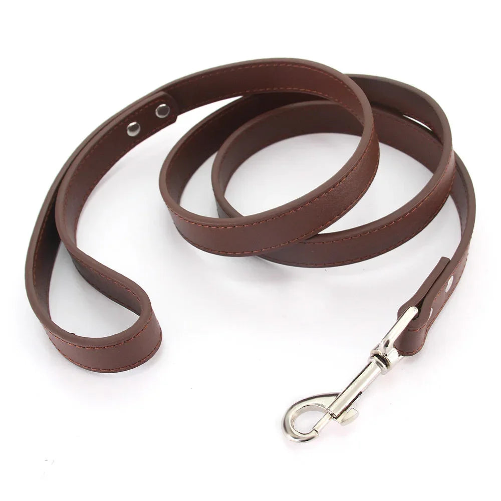 YTYINCN Leather Dog Leash For Small Medium Dogs And Cats