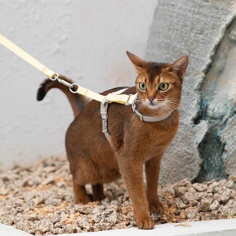 Choice Cat Harness Leash Adjustable I Shaped Walking Chest Strap