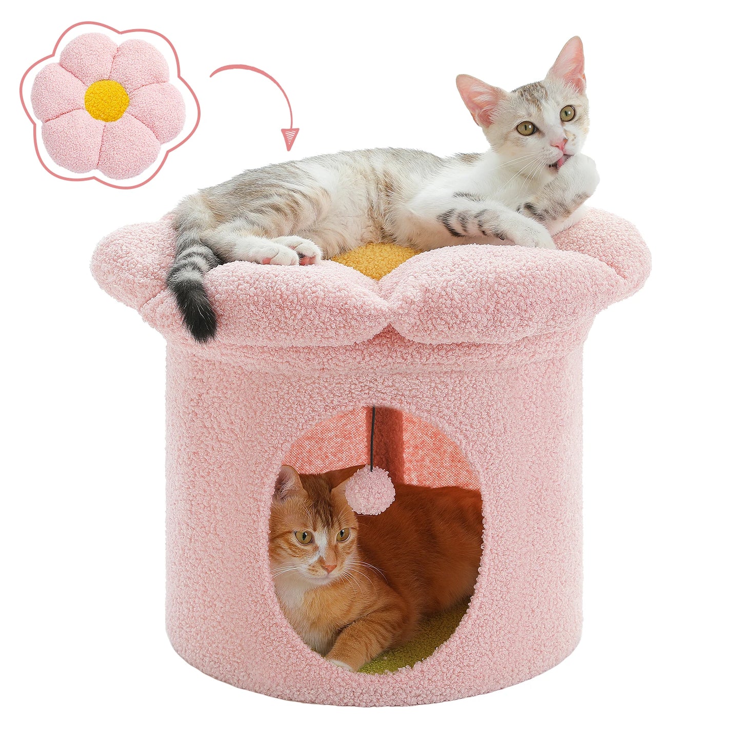PAWZ Road Indoor Cat House with Removable Flower Bed Cave