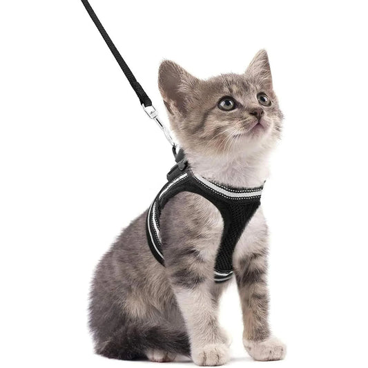 Tongyue Reflective Cat Leash Anti-Break Adjustable Strap