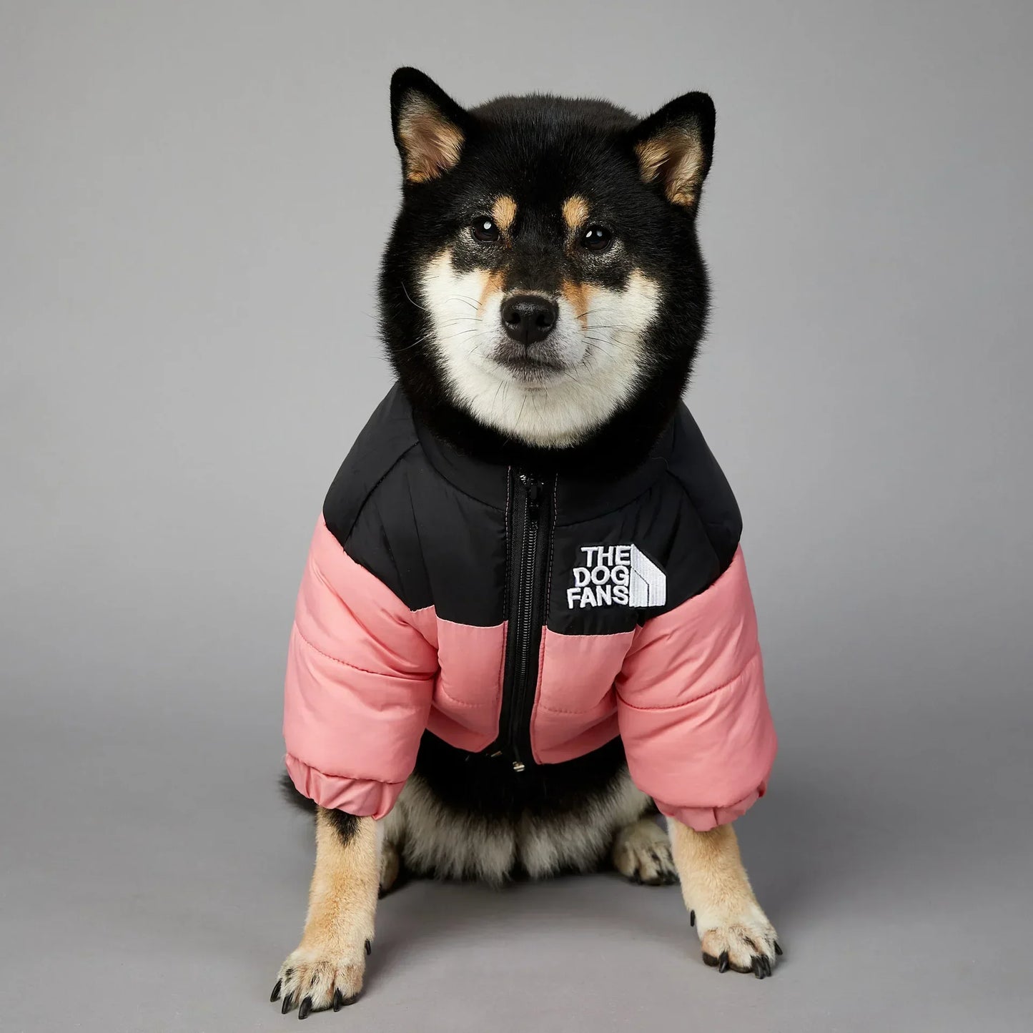 Zhejiang Dog Fans Winter Down Jacket For Dogs Warm Coat