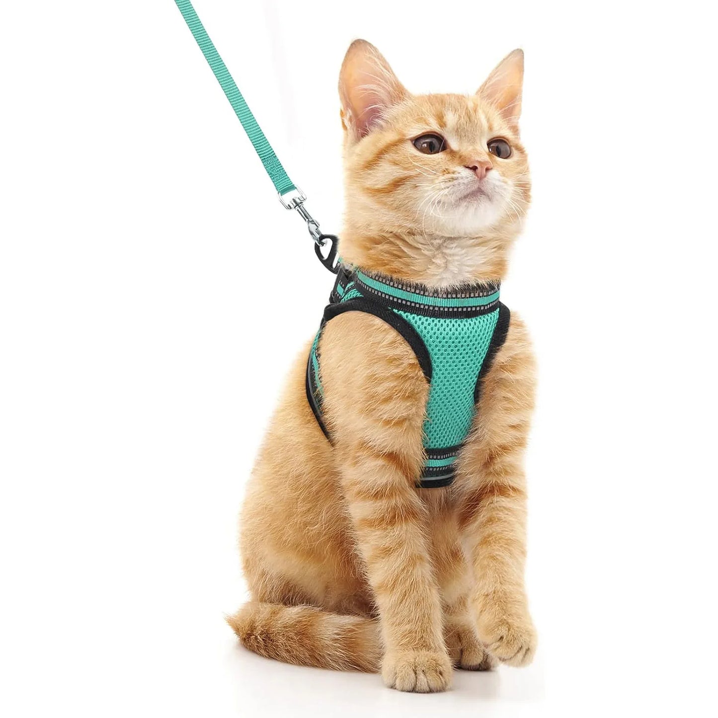 Tongyue Reflective Cat Leash Anti-Break Adjustable Strap