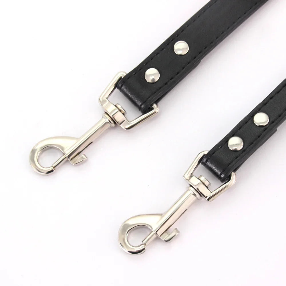 YTYINCN Leather Dog Leash For Small Medium Dogs And Cats