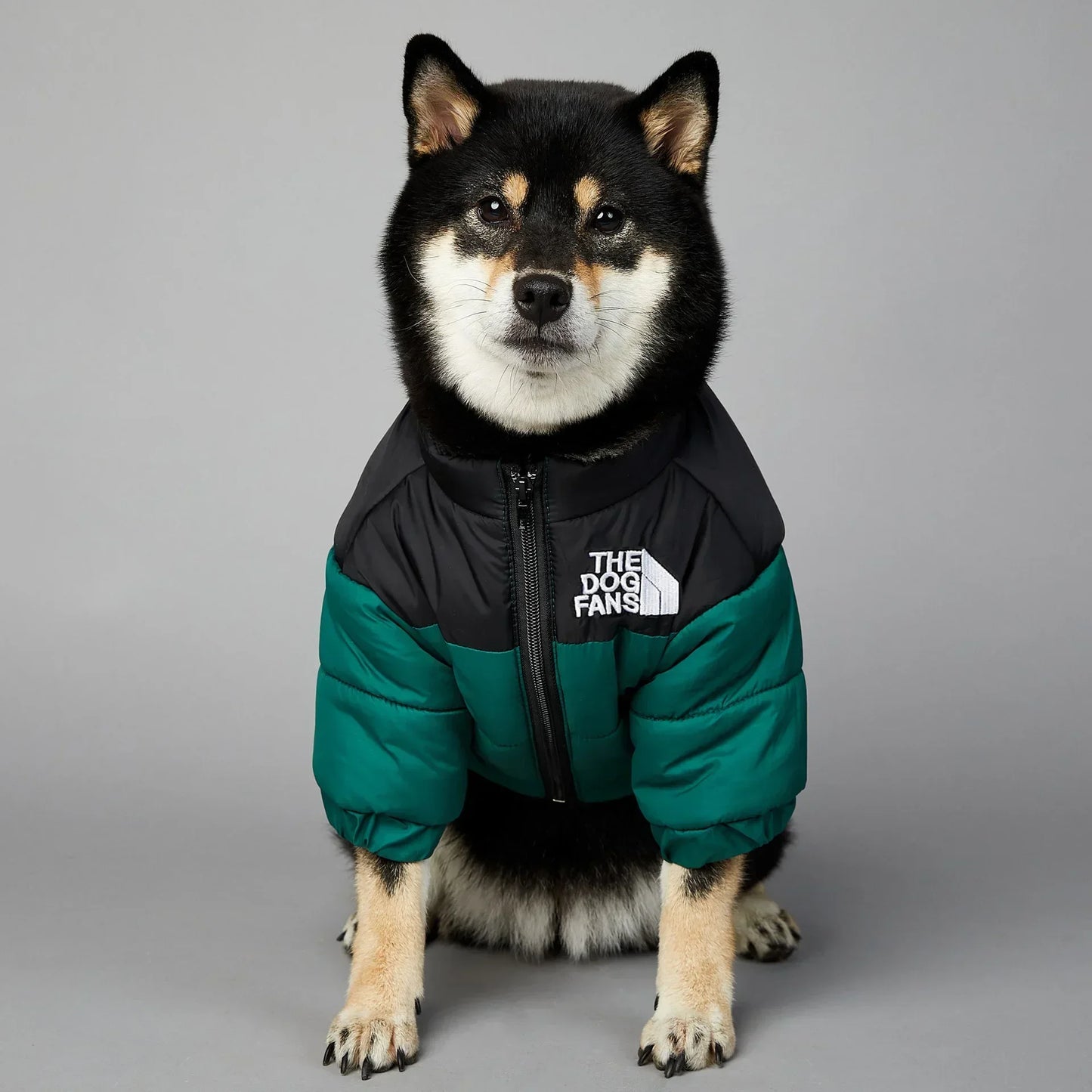The Dog Fans Winter Dog Jacket For Small Medium Breeds