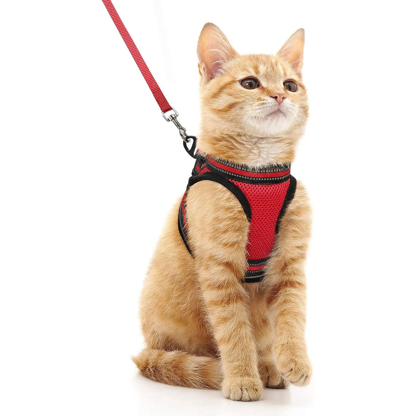Tongyue Reflective Cat Leash Anti-Break Adjustable Strap