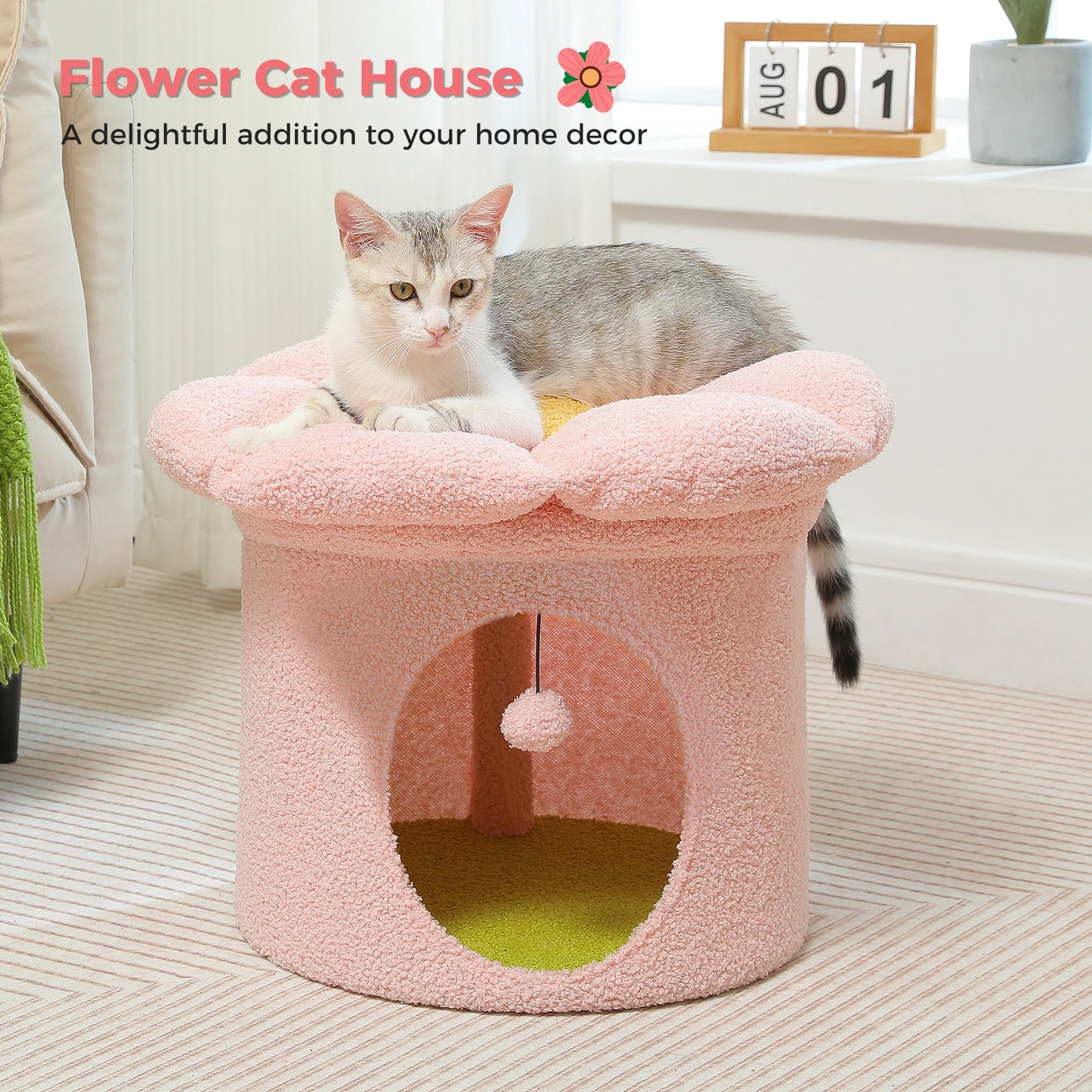 PAWZ Road Indoor Cat House with Removable Flower Bed Cave