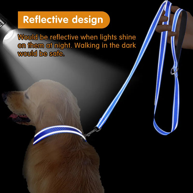 YTYINC Reflective Nylon Dog Leash For Walking And Training