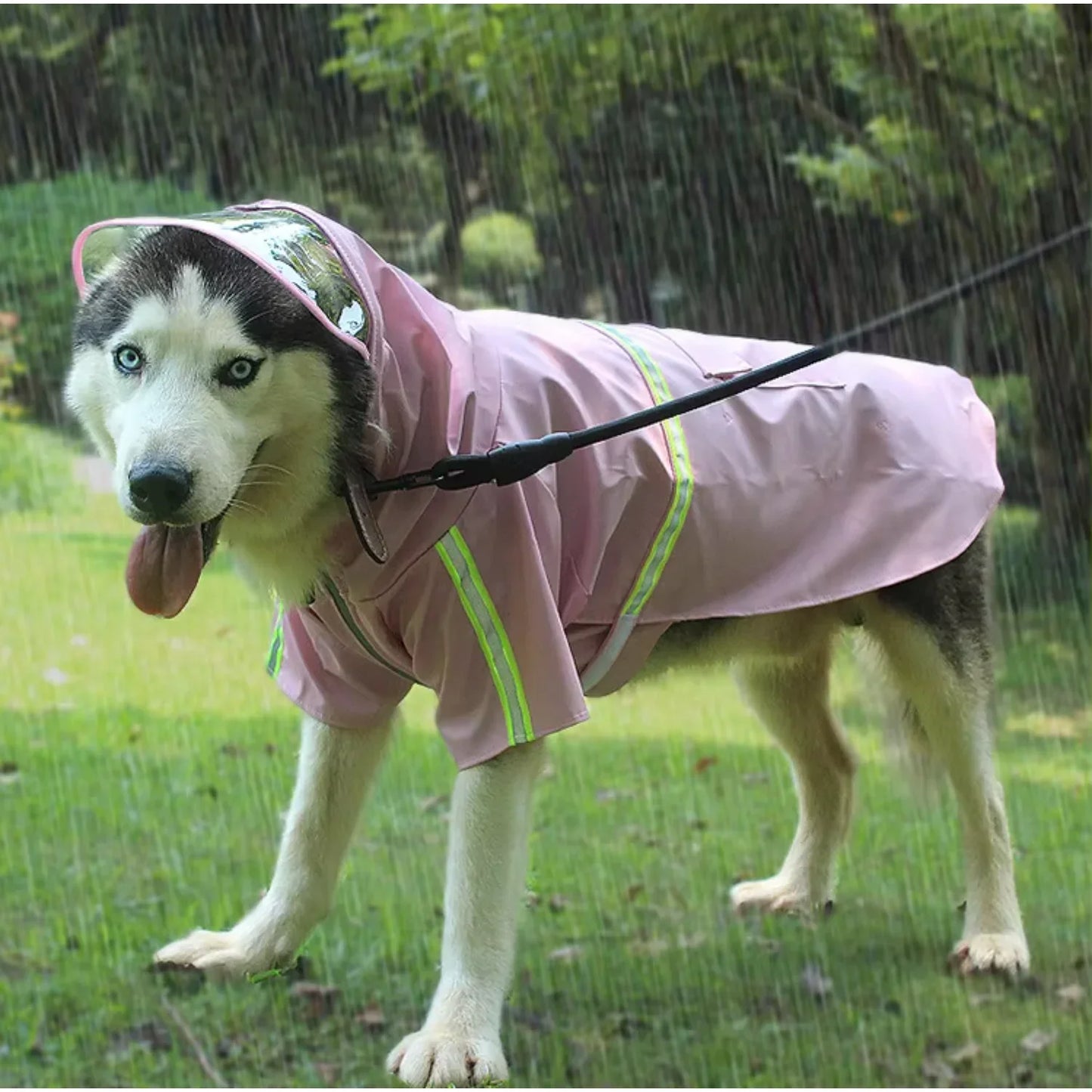 Weatherproof Waterproof Dog Hoodies Jackets Designed For Pets DurabilityAndComfort Quality