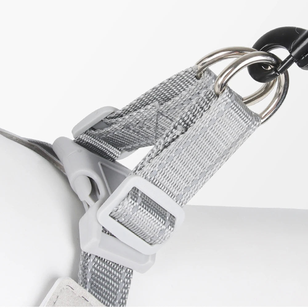 YTYINCN No Pull Reflective Dog Harness For Small Dogs