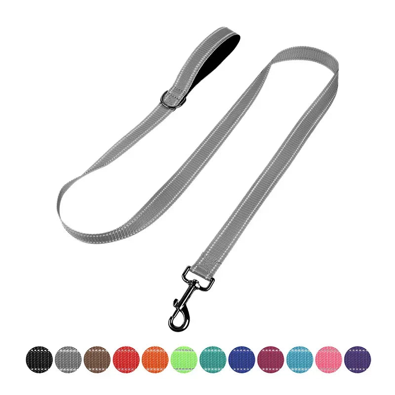 YTYINC Reflective Nylon Dog Leash For Walking And Training