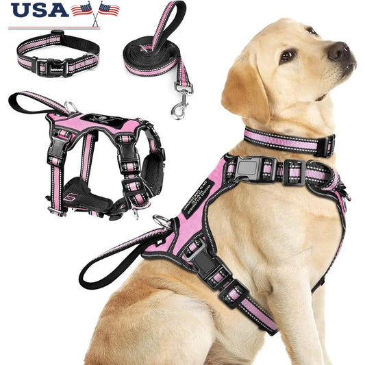 Fujian Reflective No Pull Dog Harness Leash Set For Walking