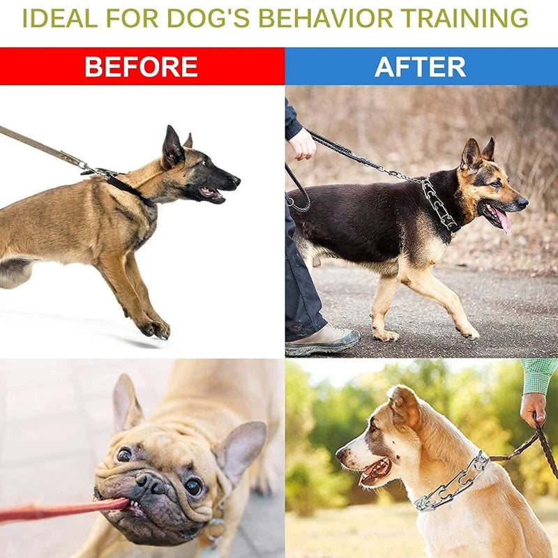 Benepaw Prong Dog Training Collar With Comfort Tips Quick Release