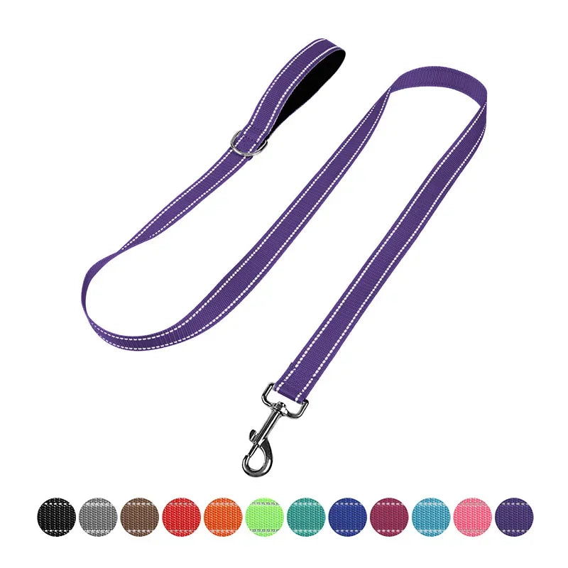 YTYINC Reflective Nylon Dog Leash For Walking And Training