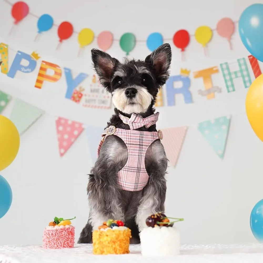 CN Fujian Cute Small Dog Harness Leash Set Adjustable Plaid