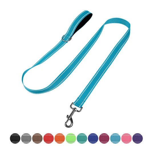 YTYINC Reflective Nylon Dog Leash For Walking And Training