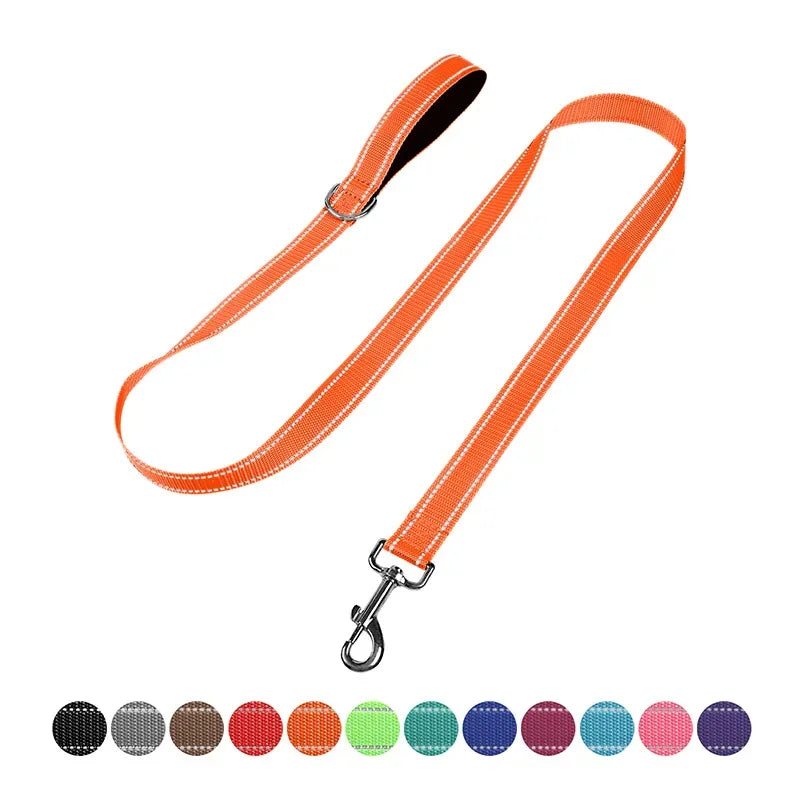 YTYINC Reflective Nylon Dog Leash For Walking And Training